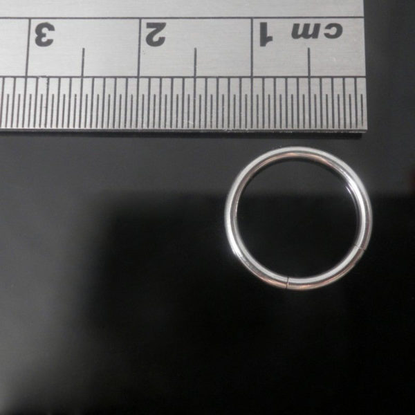 Surgical Steel Seamless Segment Rings Hoop 10mm