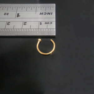 anodized-Sergical-Steel-Fake-Nose-Ring-8mm-800X800