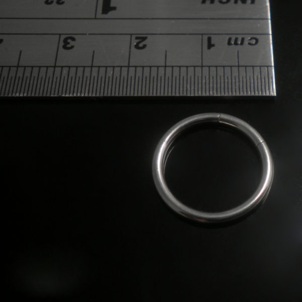 surgical-steel-12mm-segment-ring-800X800