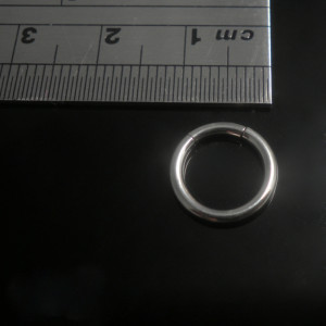 surgical-steel-8mm-segment-ring-800X800