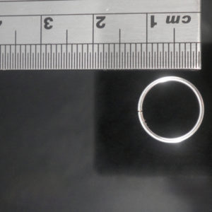 Nose Ring Endless-12mm